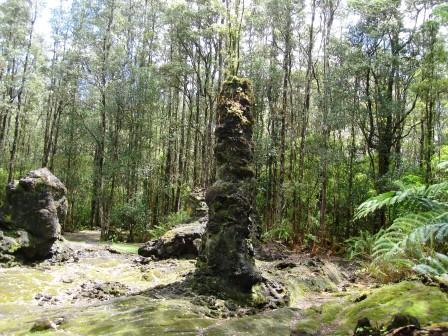 Lava tree mold Puna